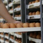 Oferta Laboral: Vacantes para Empaque