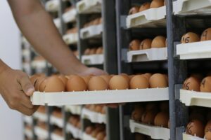 Oferta Laboral: Vacantes para Empaque