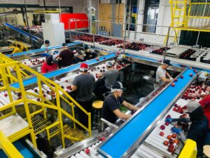 Bolsa de Trabajo Agroindustrial: Vacantes en Empaque, Producción, Logística y Áreas Técnicas